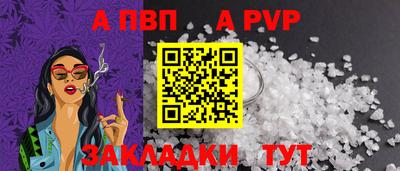 стаф Донской