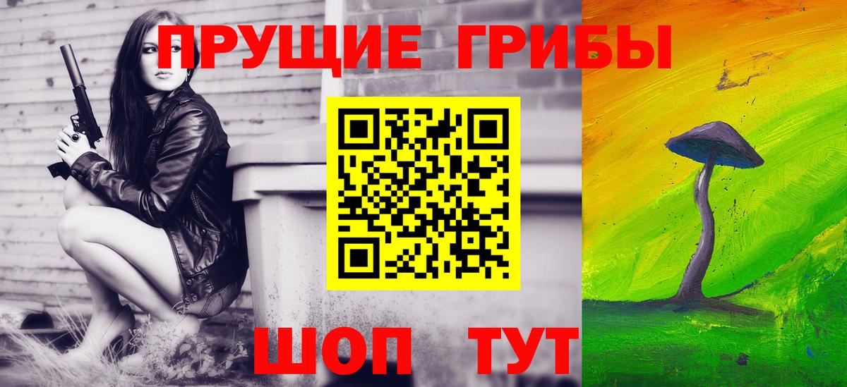Псилоцибиновые грибы прущие грибы Михайловка