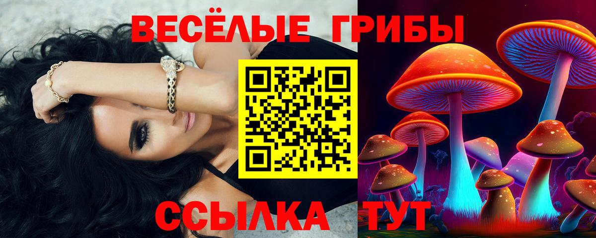 Галлюциногенные грибы Magic Shrooms  Вход с VPN  цены   Михайловка  Галлюциногенные грибы Psilocybine cubensis 